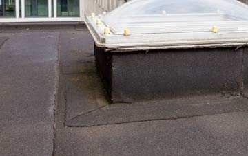 disadvantages of Trostre flat roofs