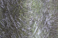 Trostre fibreglass roof work